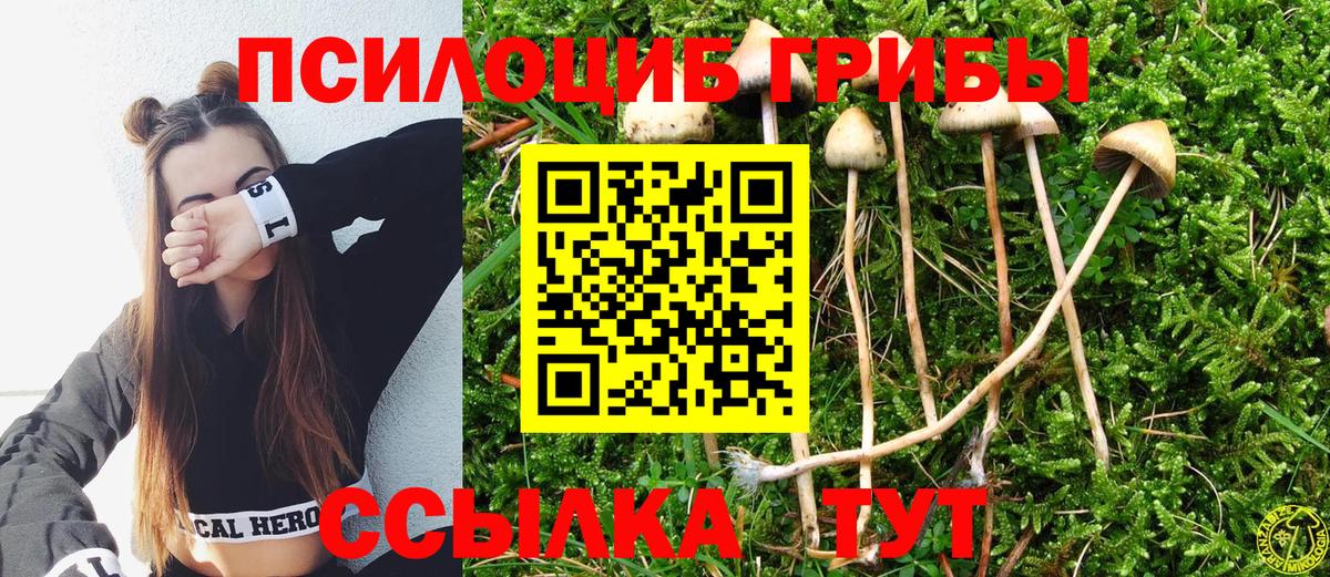 Псилоцибиновые грибы GOLDEN TEACHER Ярцево