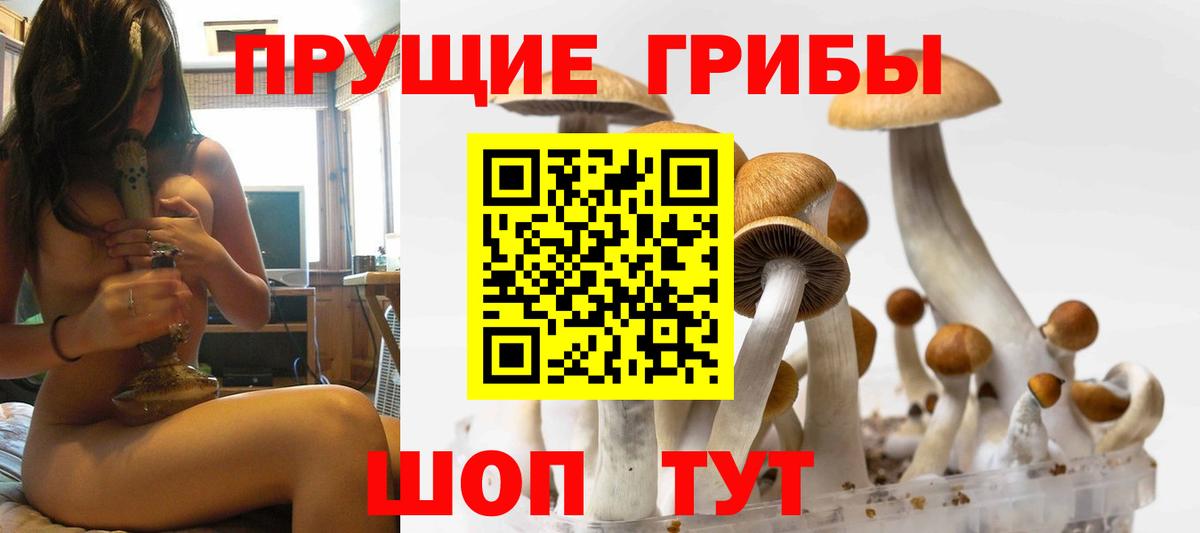 Псилоцибиновые грибы мицелий  Вход с VPN  Ярцево 
